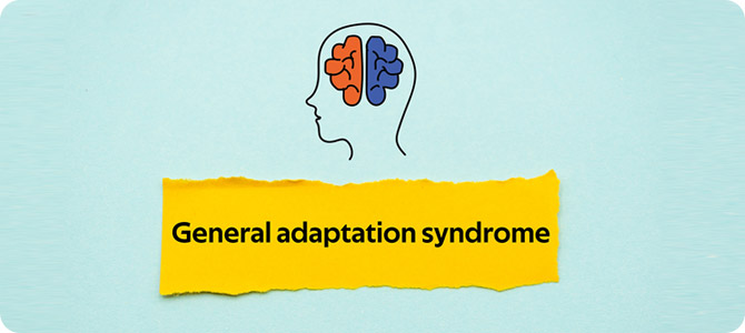 General Adaptation Syndrome Treatment Specialist Near Me in Jupiter, FL General Adaptation Syndrome Treatment Specialist Near Me in Jupiter, FL