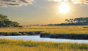 Local Resources for City of Goose Creek, SC Residents Local Resources for City of Goose Creek, SC Residents