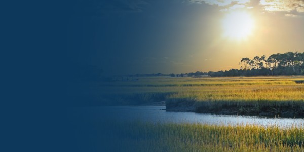 Get Directions to Psychiatry of the Palm Beaches in Goose Creek, SC