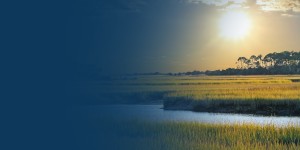 Get Directions to Psychiatry of the Palm Beaches in Goose Creek, SC