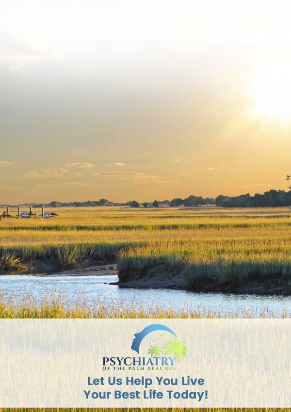 Psychiatry of the Palm Beaches in Goose Creek, SC